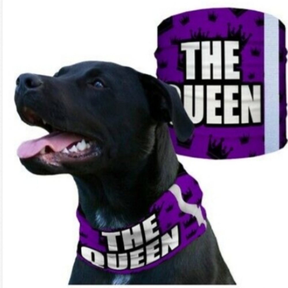 SA THE QUEEN Dog Shield Bandana Scarf